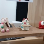 文ちゃんの更科日記