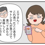 エマさんのおしゃべり絵日記