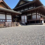 きょろきょろの日記