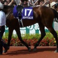 競走馬「ナカヤマフェスタ」死す、衰弱による起立不全のため