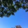 kapiolani公園で、ごろごろ読書