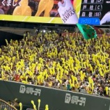 『日本シリーズの方がワールドシリーズより面白かった?』の画像