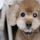 『なんとあのラッピーが、、、ついに』の画像