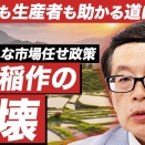  【日本稲作の崩壊危機】なぜ農業はまだ緊縮財政なのか？コメが安くなっても喜べない日本の食の問題を基礎から解説！消費者も生産者も助かる道はどこにある...