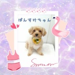 日々、ＪＡＭにあり