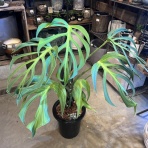 ACTIS FLOWER＆GARDEN GREEN　　プチ*フルール