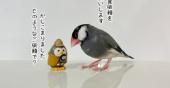 探偵フクロウ、スーパースターを調査する