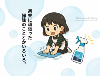 週末に頑張った掃除のこととかいろいろ。今日のおべんとう