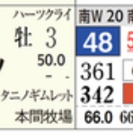 ハイブリッド競馬新聞
