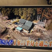 �����Ϸ뺧��ǰ���Ǥ����������ϥݥĥ�Ȱ츮��