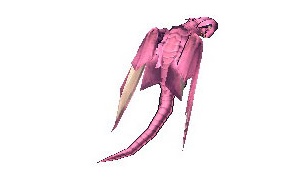 ピンクファイアドラゴン
