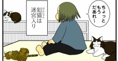 【猫との暮らしにありがちな事】迷宮入りな猫