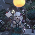 【FF14】東方の笹飾り～ありさんちのお庭で七夕デコレーションだよヾ(〃^∇^)ﾉ【FFXIV】