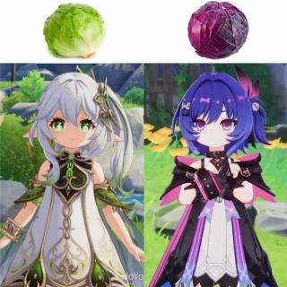 【原神】この紫キャベツはやっぱり星4なのかな