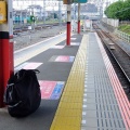 府中多摩川かぜのみち　危険すぎる!!
