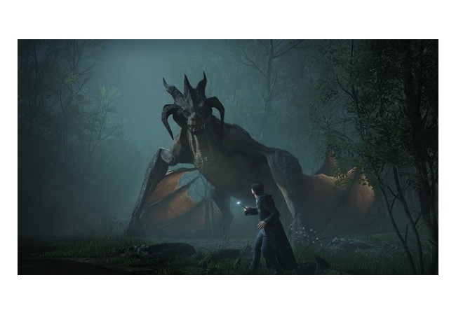 【朗報】ホグワーツレガシー、人気すぎて品薄で各地で予約終了！！パケ版は当日買えなそう