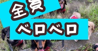 やっとこさ。