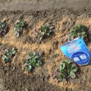 ひどい目に・・・