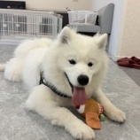 『ぼくと一緒に遊ぼう😙』の画像