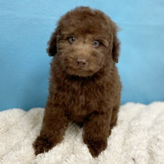 かねだい四街道店ブログ