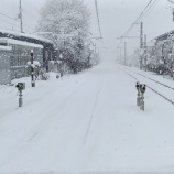 『雪の西舞鶴、ちょっとだけ探訪』の画像