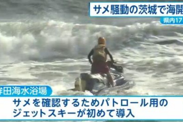 サメ シャチ好き集まれ情報局 茨城のサメ