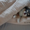 毎日、楽しい子。あたしも、こういう人になりたい。