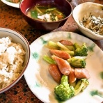 豊橋まといずし日記