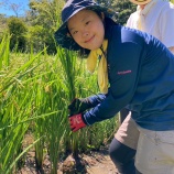 『【横浜・合同】田んぼ活動の様子（水抜き・案山子づくり）』の画像