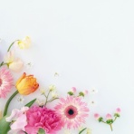 ゆとりあるシンプルな暮らし