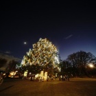 『新製品：LAOWA９mmF5.6の試写～クリスマスツリー・月・火星・木星・土星　2020/11/30』の画像