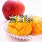 『宮崎県のナイトワーク求人情報』の画像