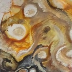 宇宙と生命のプレパラート