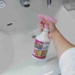 ありのままの我が家