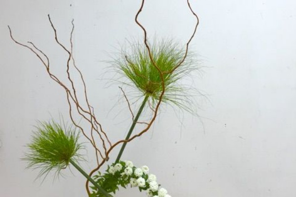 タナカヤ花店のブログ 長崎県平戸市のお花屋さん タナカヤ花店のブログ 長崎県平戸市のお花屋さん