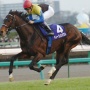【動物虐待】急逝した名馬・ディープインパクト、毎年200頭以上に種付けしていたことが判明！人間に殺されたようなものだと話題に