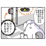 信号マジック