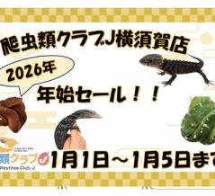 【横須賀店:年始セール情報！！！】