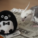 クスィーと仲良し
