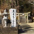 本日4時から節分祭