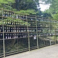 赤目四十八滝に行きました。