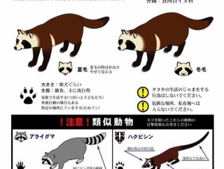 ( ヽ´ん`)｢30回以上、タヌキ目撃の通報してるけど、毎回俺の見つけてるのはネコらしくて怒られる｣