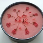 春のお楽しみ♪桜のレアチーズケーキ！