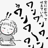 『え？外れたの？！そんなつもりじゃなかった犬』の画像