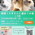 保護うさぎ譲渡会 第35回 保護うさぎさんに逢おうの会in大阪【4/19】
