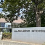 Junko's Blog