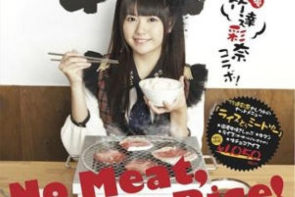 Mega Driver S Diary でぶにゃん