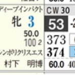 ハイブリッド競馬新聞