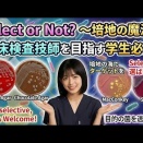 『Select or Not? 〜培地の魔法〜』微生物検査の基本中の基本、「培地」の種類について