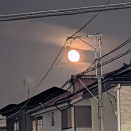 いろいろな1日でした